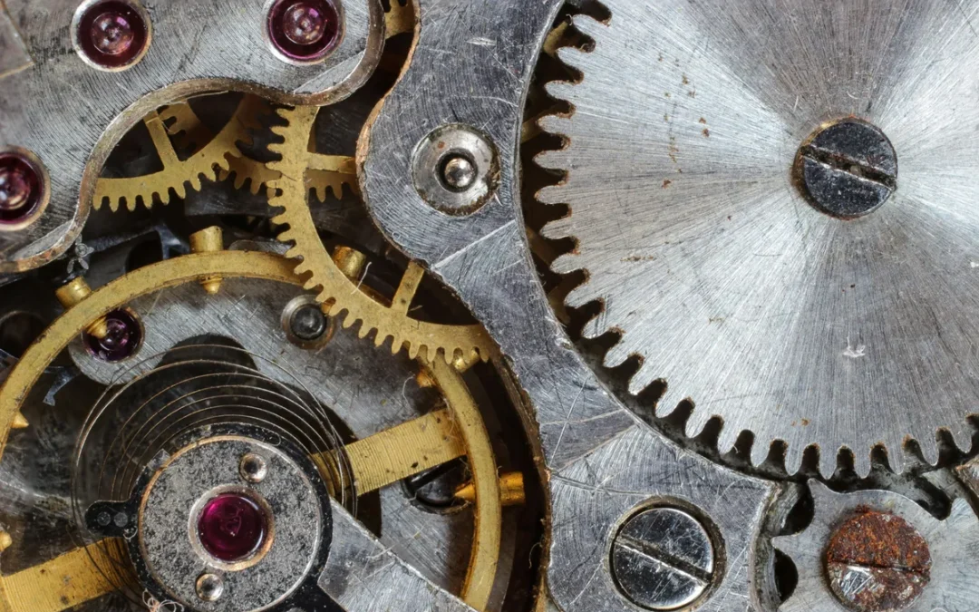 The Architecture of Serendipity