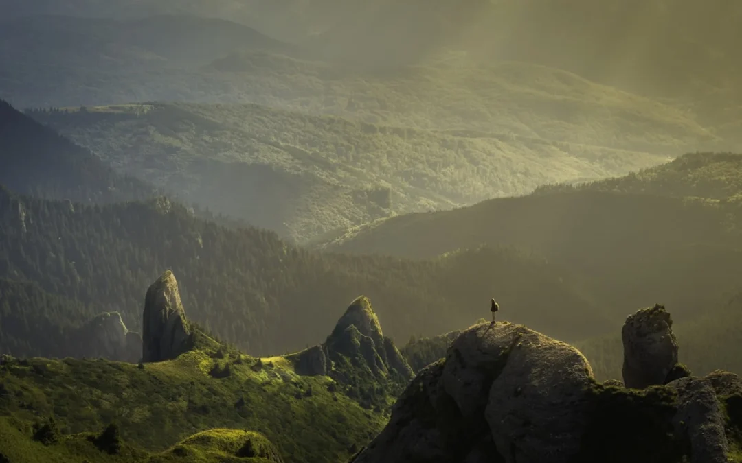 Steady the Cognition Furnace