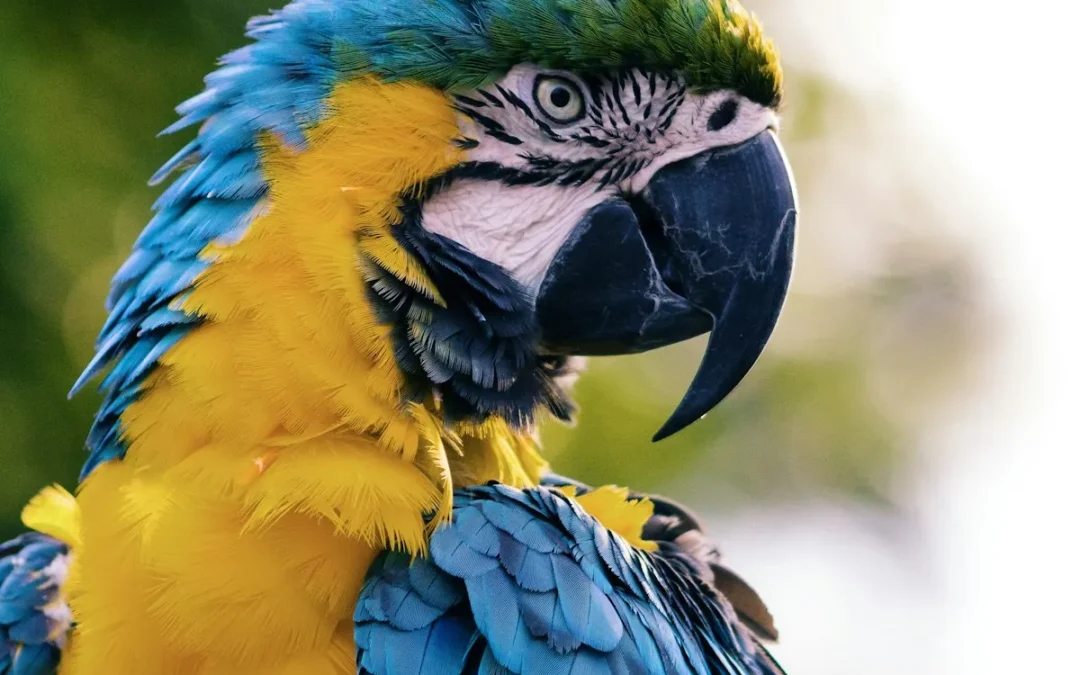 Sunday, the Maintenance Day: On Doing Nothing Productively