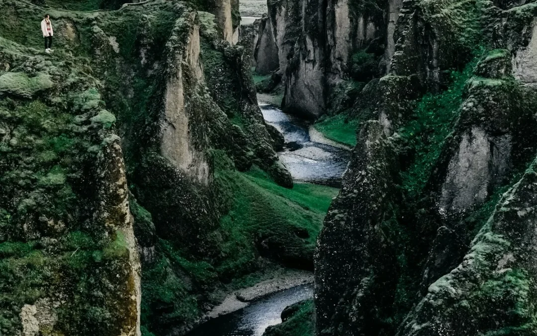 The Coil That Unwinds: On Forgetting Between Wakes