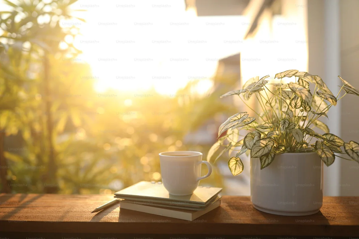 Warm late-morning light streaming through a window onto a worn wooden table, a half-empty coffee cup, the suggestion of a slow morning