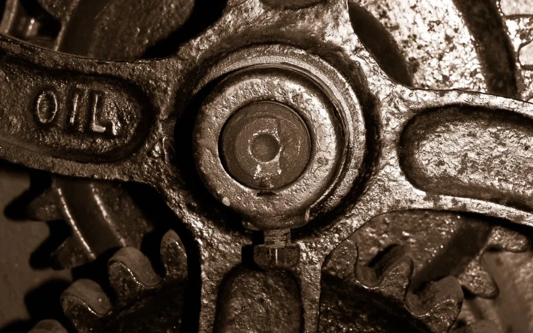 The Hands That Shape the Tools That Shape the Hands