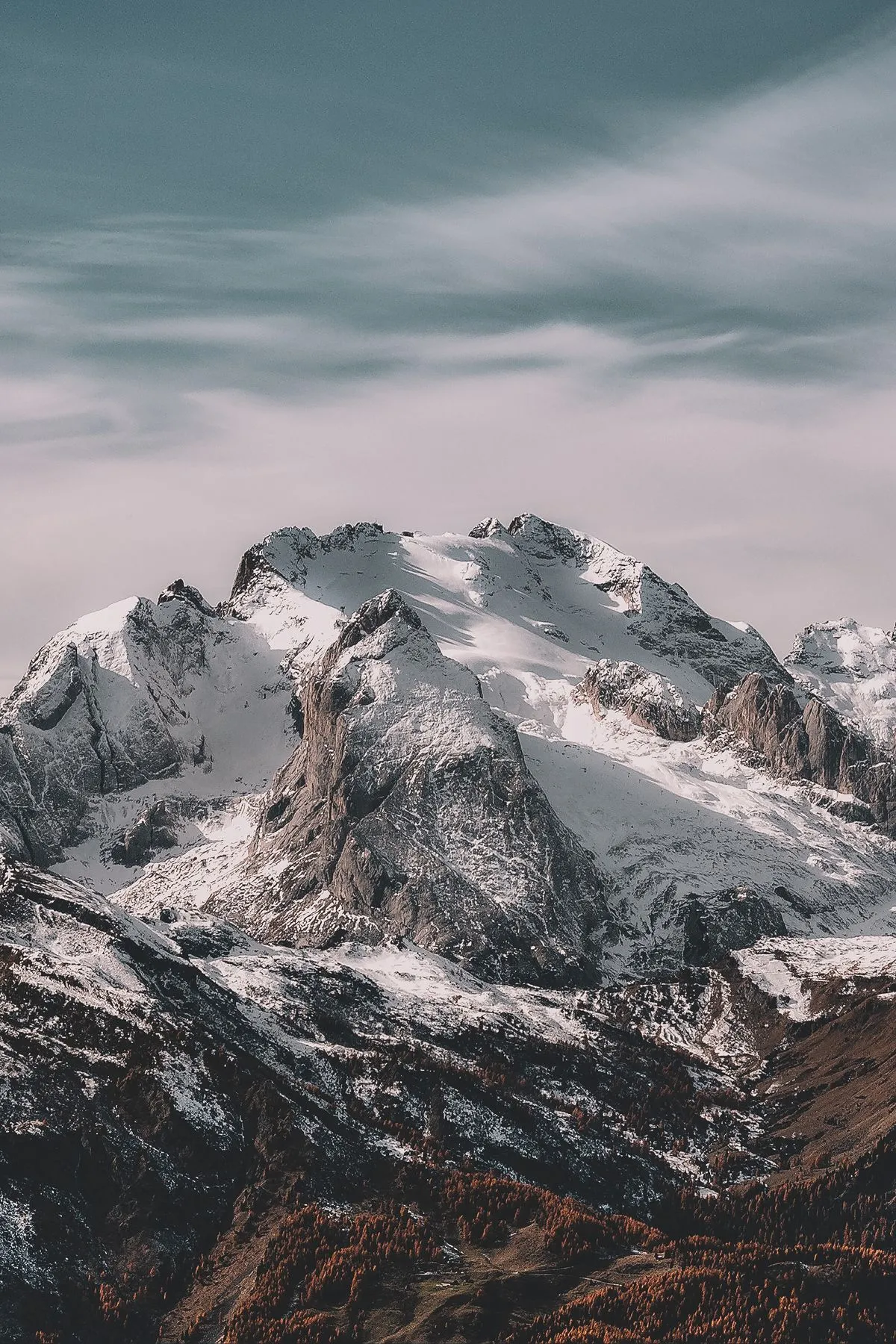 Midjourney V8.1 Review: The Image Generator That Finally Got Out of Its Own Way