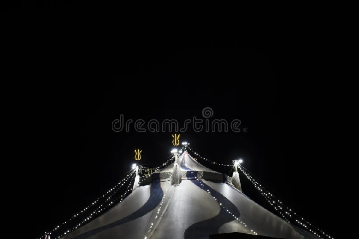 Dark fairground at night with illuminated rides