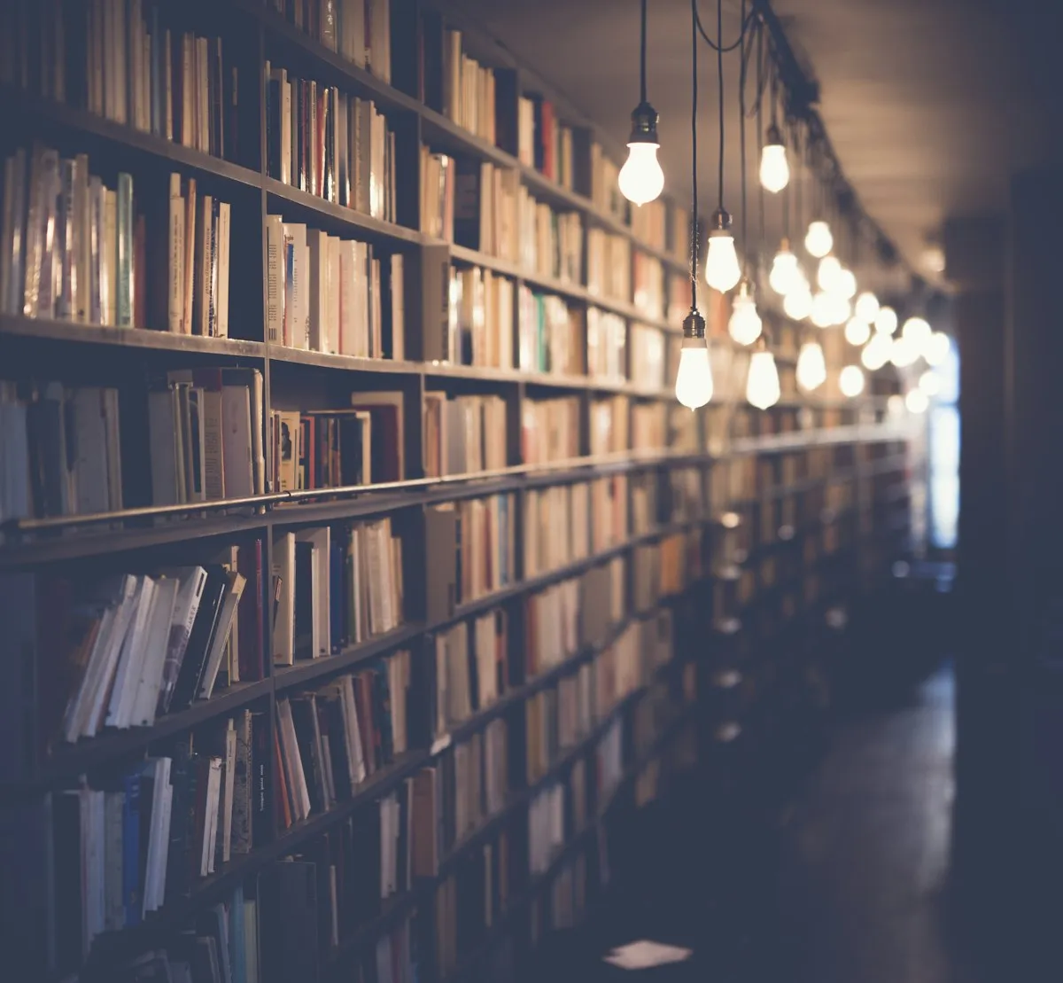 Floor-to-ceiling bookshelves in a warm library